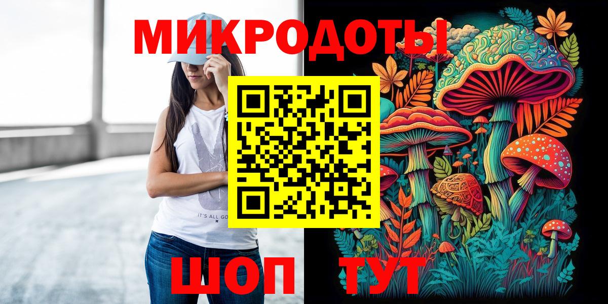Галлюциногенные грибы Psilocybine cubensis Бирск