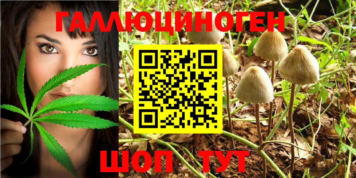 Псилоцибиновые грибы Psilocybe  Вход с VPN  Бирск  Псилоцибиновые грибы прущие грибы 