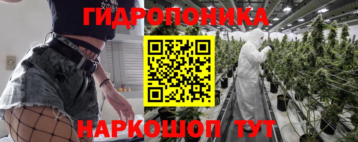 МАРИХУАНА семена Бирск